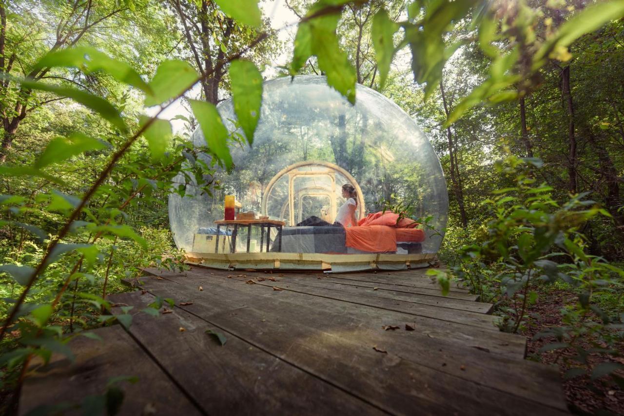 Camping Future Is Nature Playground Sala Biellese 外观 照片